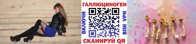 Псилоцибиновые грибы GOLDEN TEACHER  ОМГ ОМГ зеркало  Петровск 