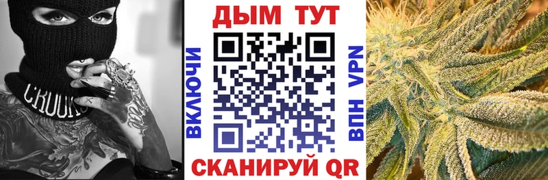 сколько стоит  Петровск  Бошки Шишки индика 